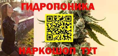 гидра Лесосибирск