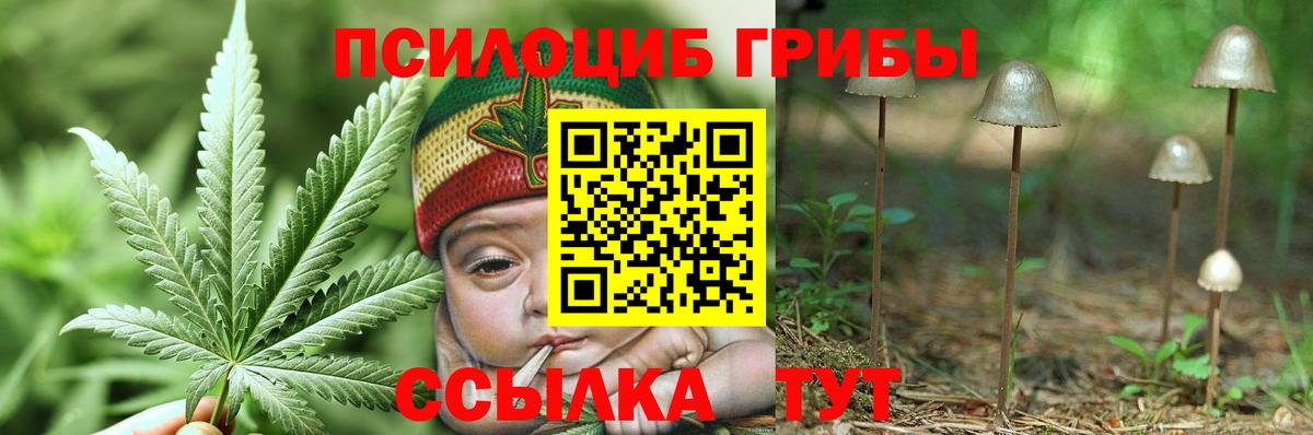 Псилоцибиновые грибы Cubensis  Вход с VPN  даркнет сайт  Горячий Ключ 